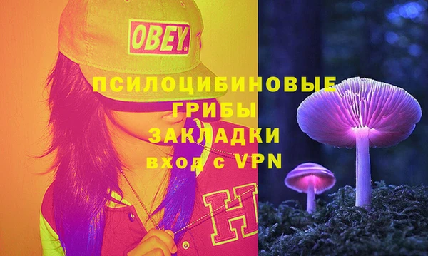 экстази Алексин