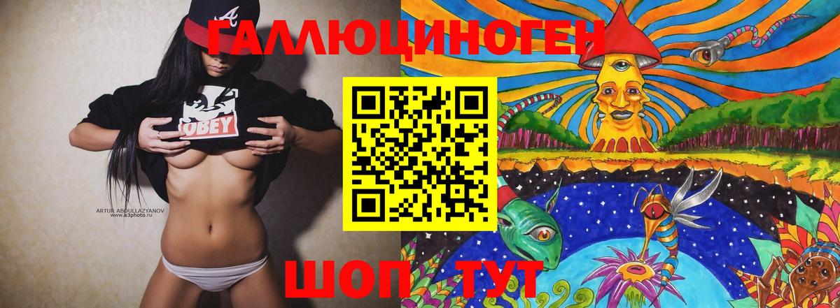 Псилоцибиновые грибы Psilocybine cubensis Пермь